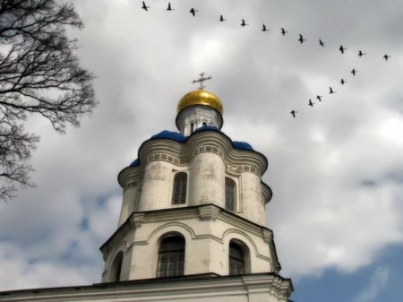 Увеличить картинку